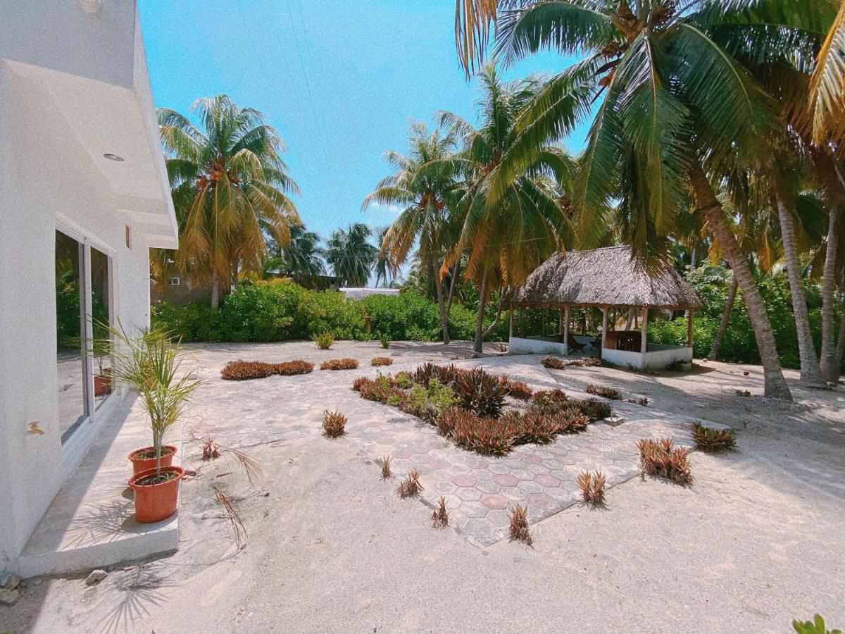 Coconut Palm House - El Cuyo Villa Exterior photo