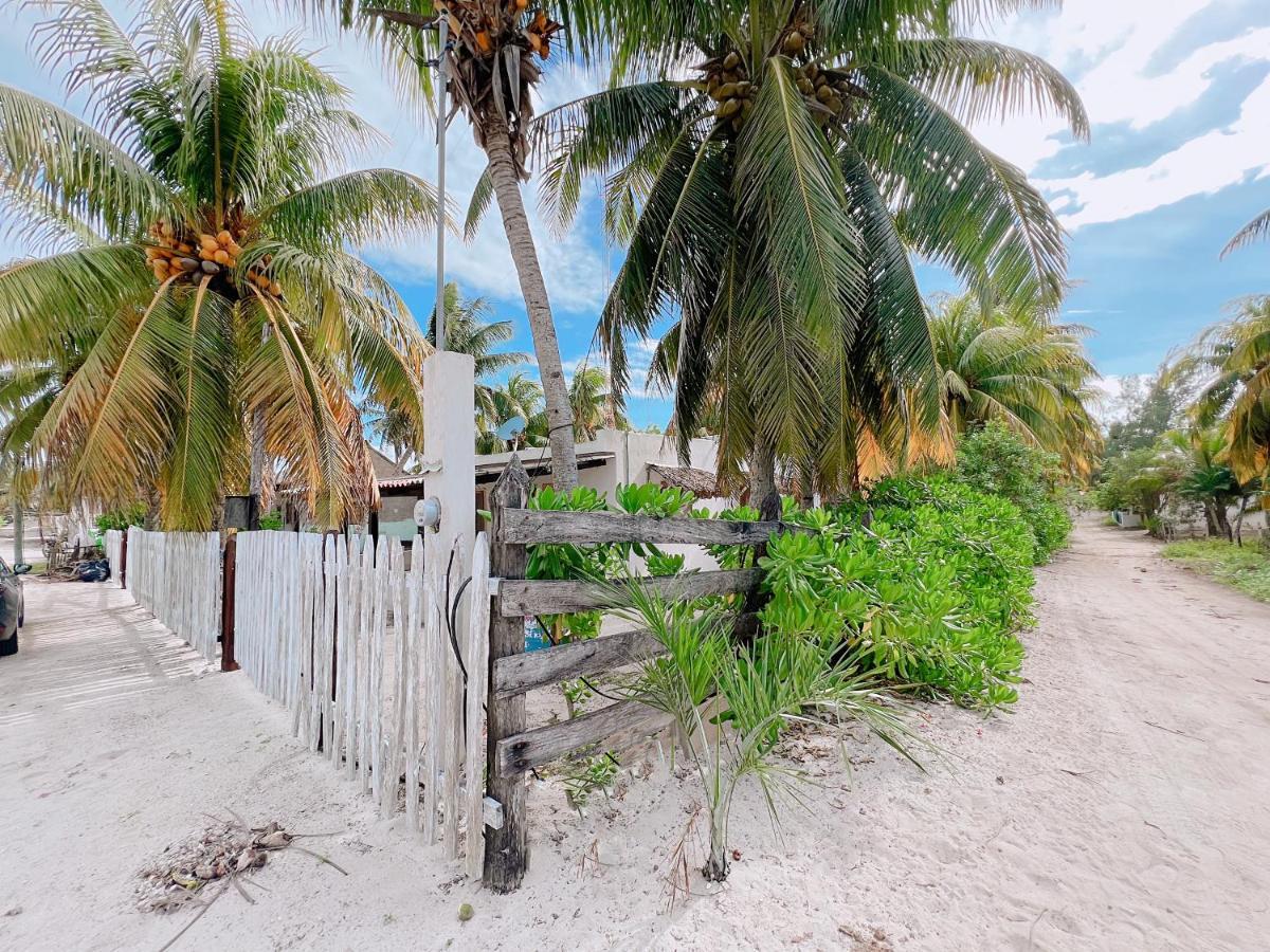 Coconut Palm House - El Cuyo Villa Exterior photo