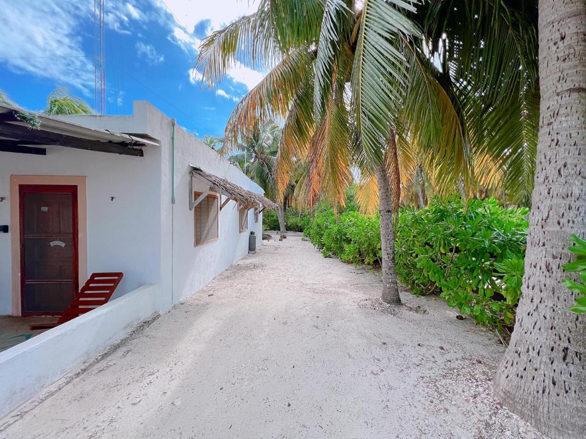 Coconut Palm House - El Cuyo Villa Exterior photo